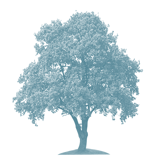 tree with blue overlay