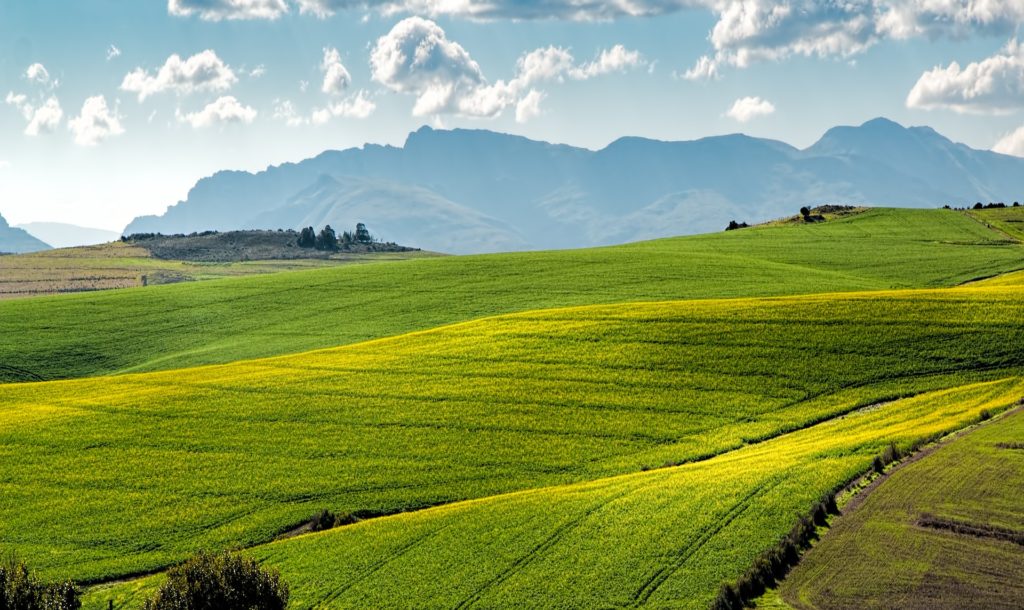 Rolling pasture/farmland