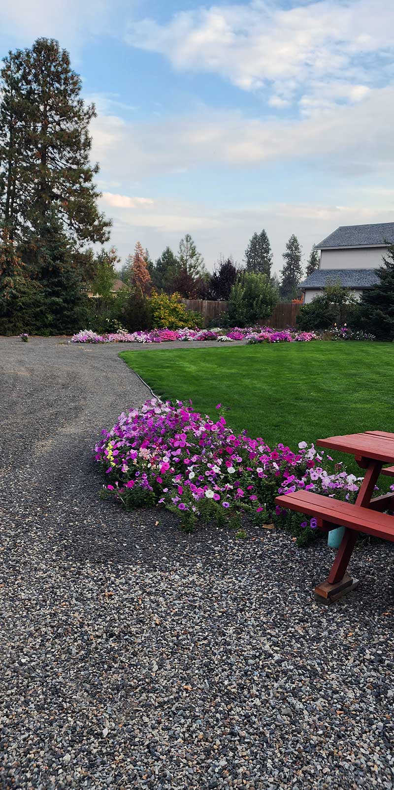 Bare ground gravel driveway treated for weeds